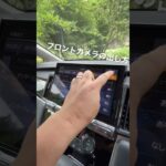 【デリカD:5】フロントカメラ設定【ALPINE】