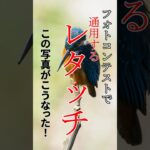 【フォトコンテストで通用するレタッチ】この写真がこうなった！#shorts #風景写真 #lightroom #カメラ #写真